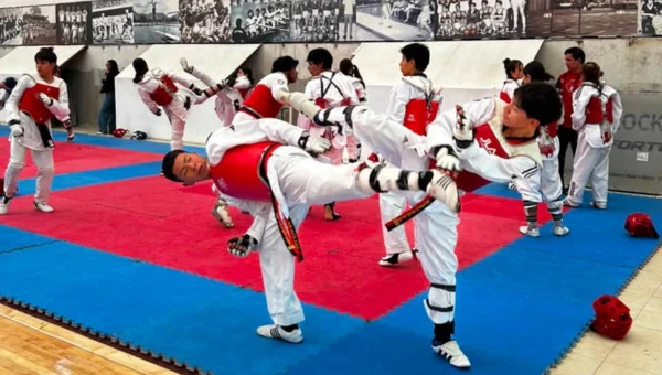 Taekwondo